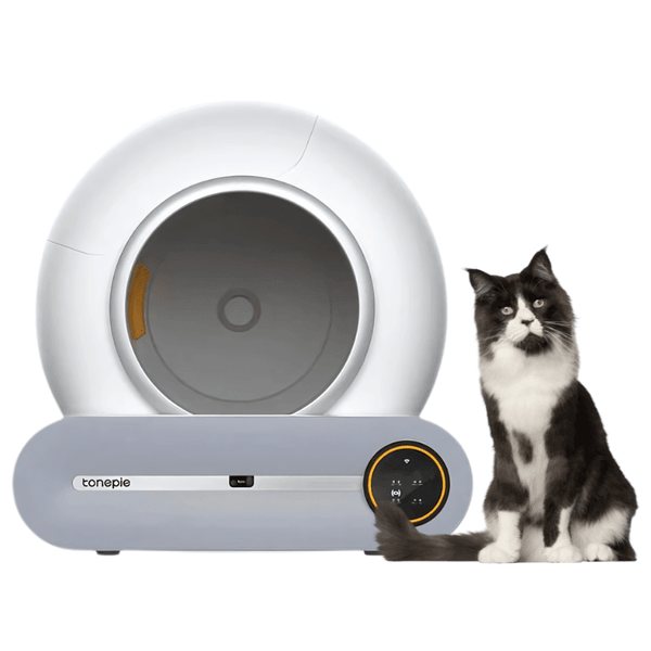 Automatic Self Cleaning Cat Litter Box and a cat seat next to it 