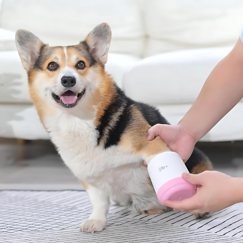 Dog Paw Cleaner  Demonstration of hopw to use ir in a dog