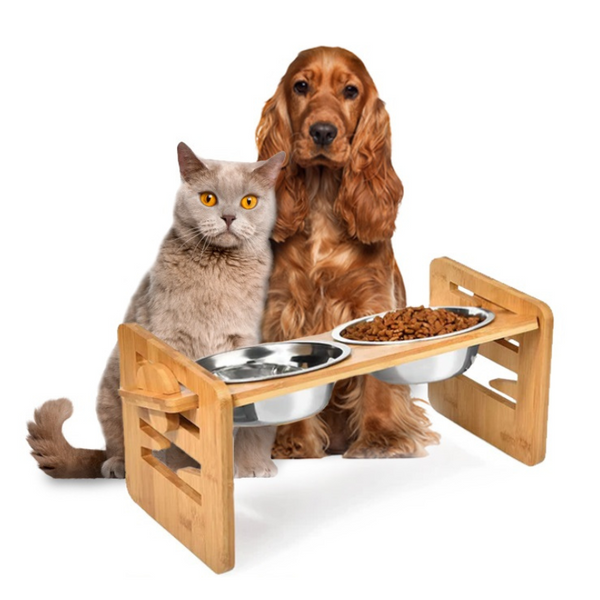 A gary cat and a brown dog setiing behind the elevated bowl